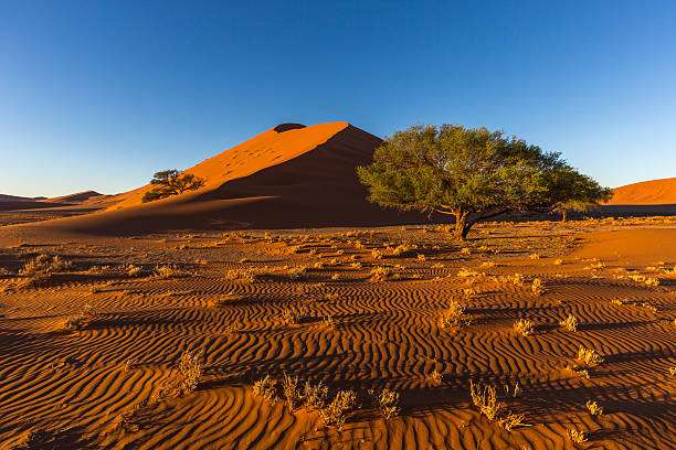 Best of Namibia
