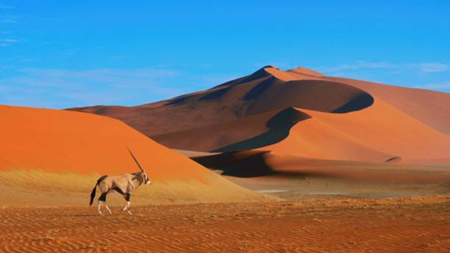 Il Deserto e Gli Animali – Namibia Self Drive